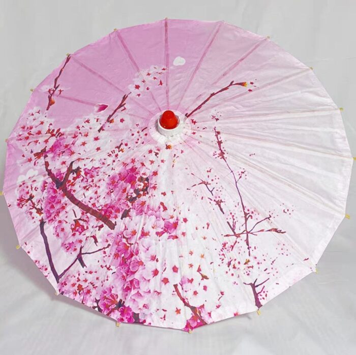  - Image 4