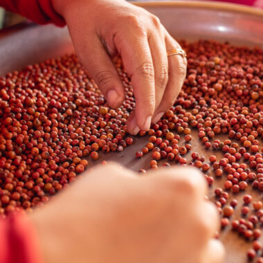Kampot Pepper