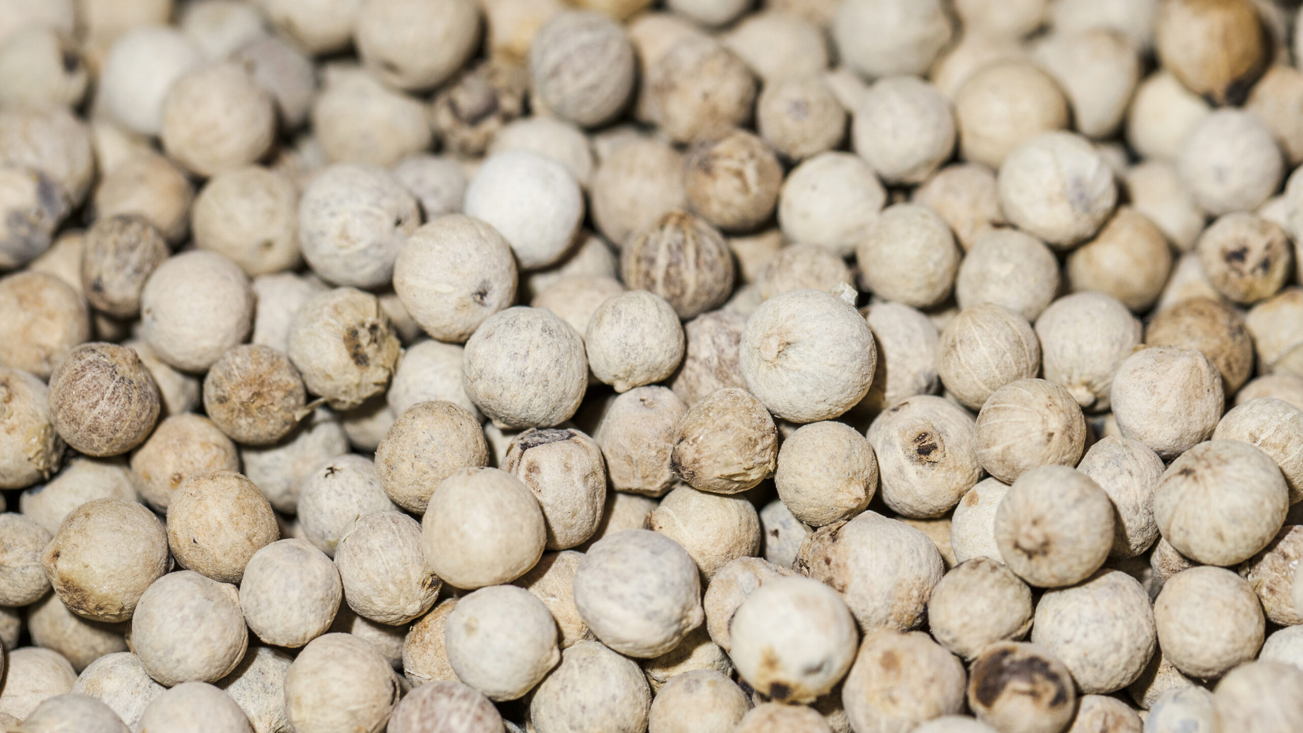 White Kampot pepper 100g - Image 3
